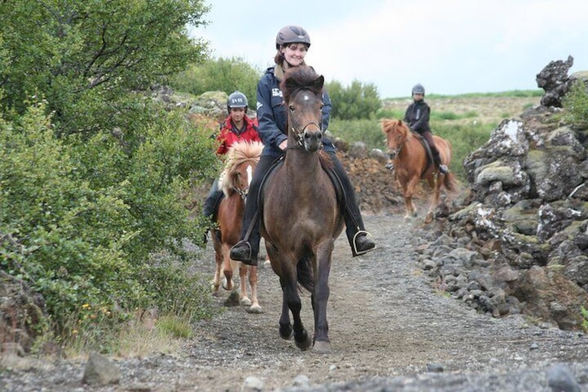Icelandic Horseback Riding Tour from Reykjavik
