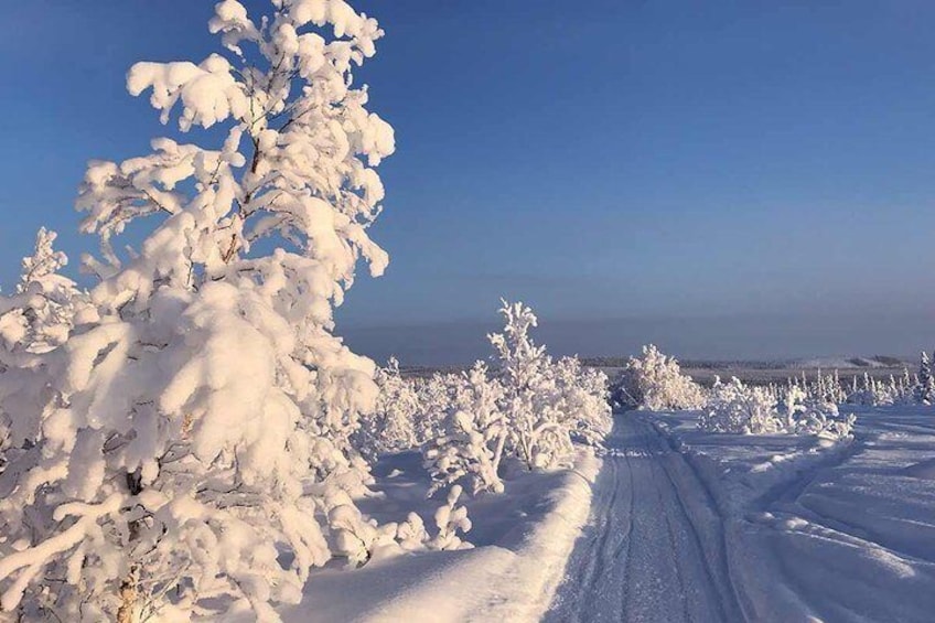 Snowmobile Arctic Adventure