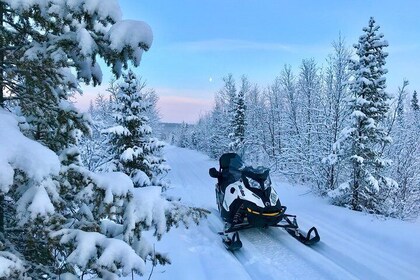 Snowmobile Exclusive Tour