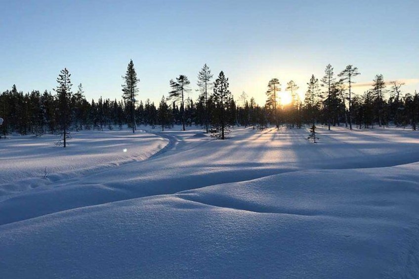 Afternoon Snowmobile Tour