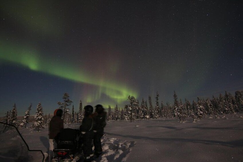 Snowmobile Aurora Expedition with dinner