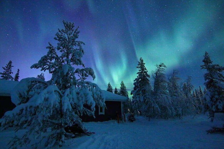 Snowmobile Aurora Expedition with dinner