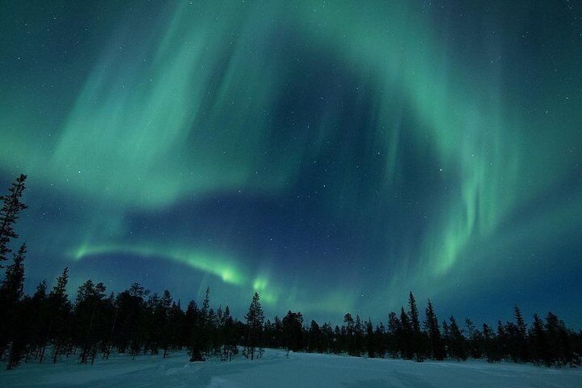 Snowmobile Aurora Expedition with dinner