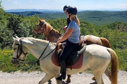 Half-Day Horseback Ride in Tuscany for beginner riders