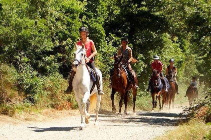 Half-Day Horseback Ride in Tuscany