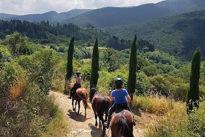 Horse Riding in Tuscany for Experienced Riders: Full-day Trail Ride