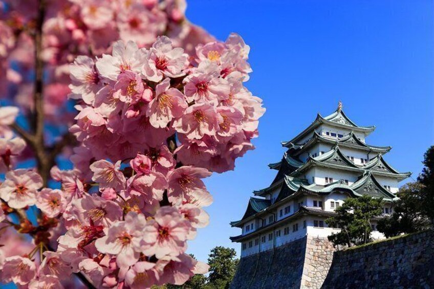 A full day in Nagoya with a local: private & personalized