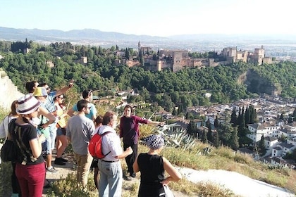 Granada: Sacromonte Private Tour