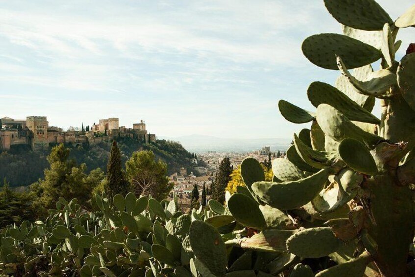 Sacromonte Granada Private Tour