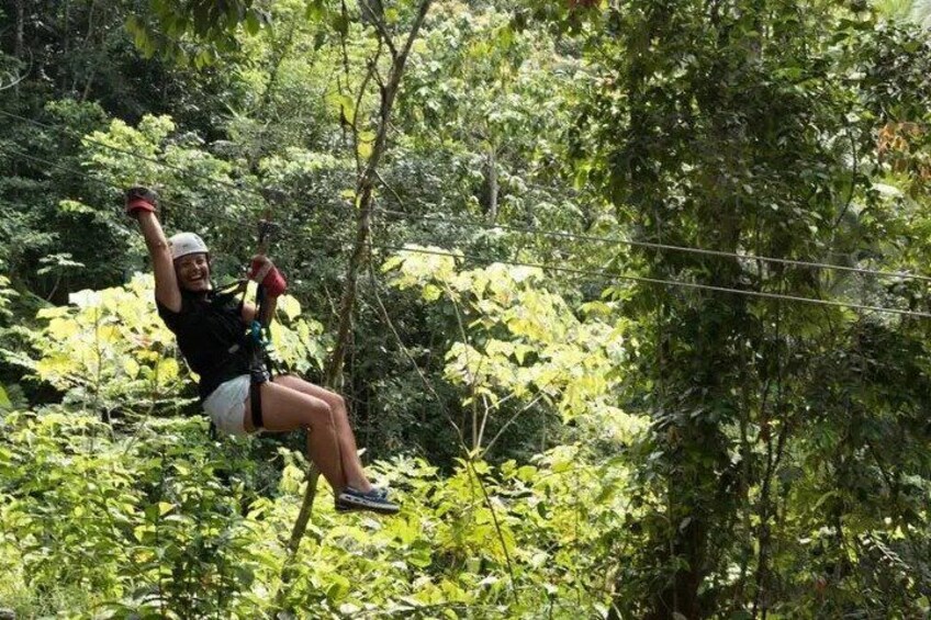 Zipping through the trees!