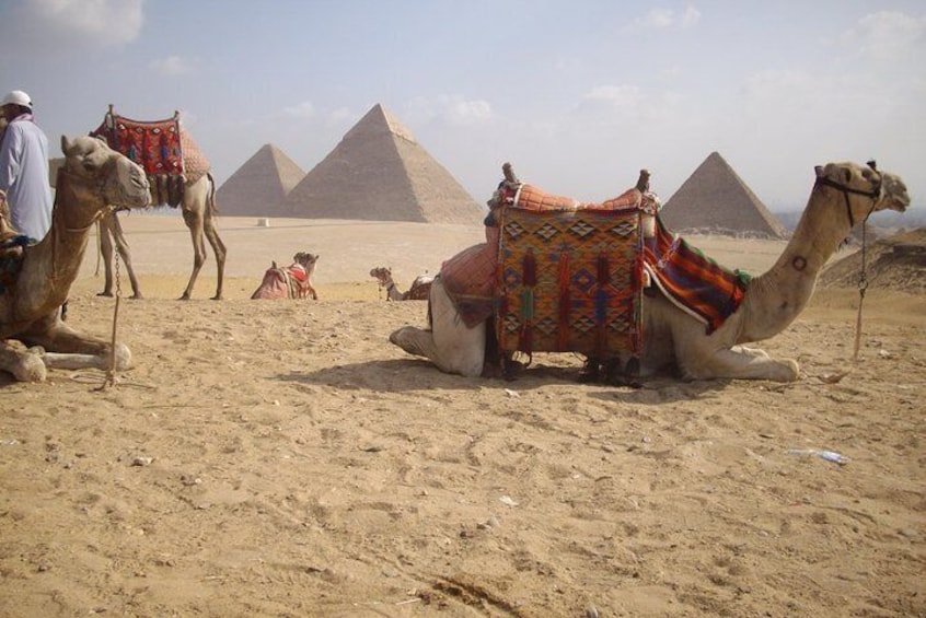 Half-Day Private tour to Pyramids of Giza and Sphinx