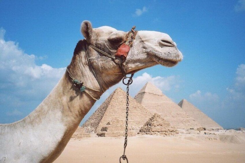 Half-Day Private tour to Pyramids of Giza and Sphinx