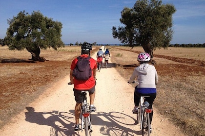 Puglia Bike Tour: Cycling Through the History of Extra Virgin Olive Oil