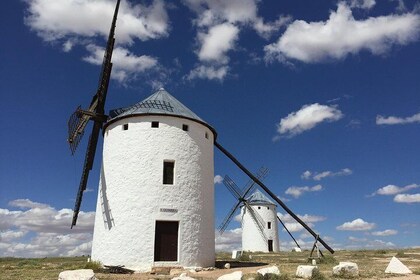 Small group tour to Toledo, windmills & winery tour with lunch