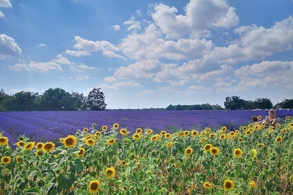 Arles Small groupe tour : Private Day Trip to Luberon Villages