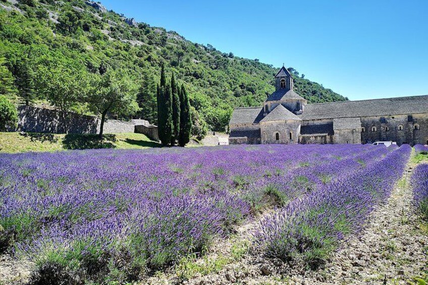 Abbaye Notre-Dame de Sénanque