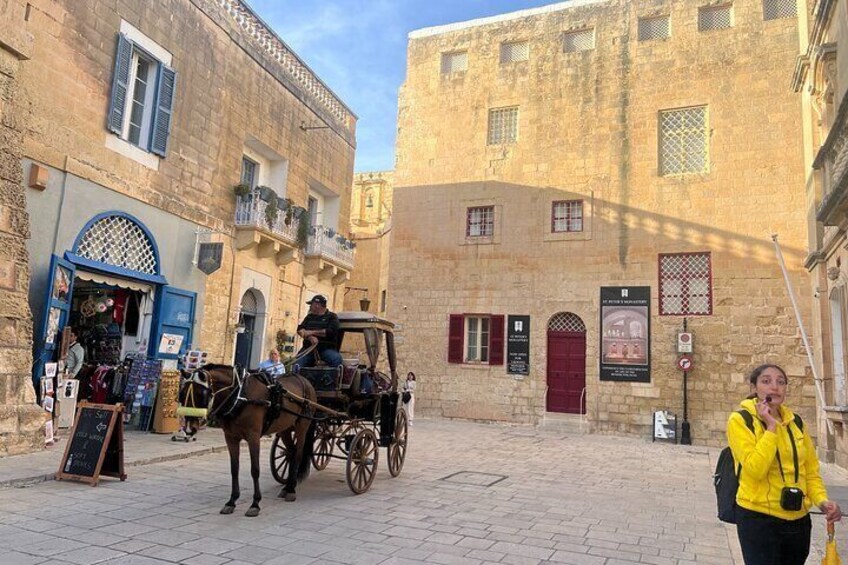 Mdina and Rabat Walking Tour inc. Catacombs and St. Paul's Grotto