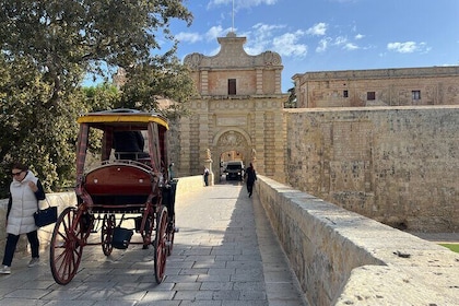 Mdina and Rabat Walking Tour inc. Catacombs and St. Paul's Grotto