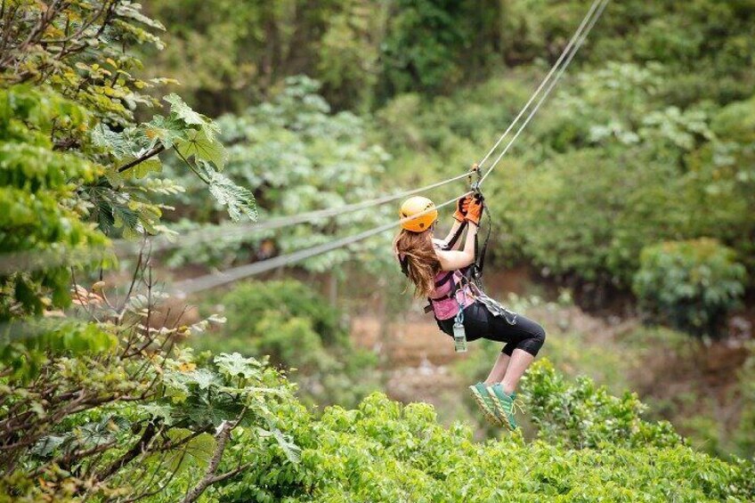 Zipline Adventure Tour