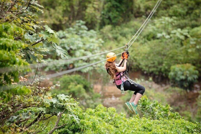Zipline Adventure Tour