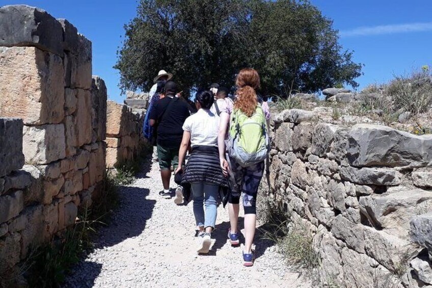 Small-Group Full-Day Meknes and Volubilis Tour from Fez
