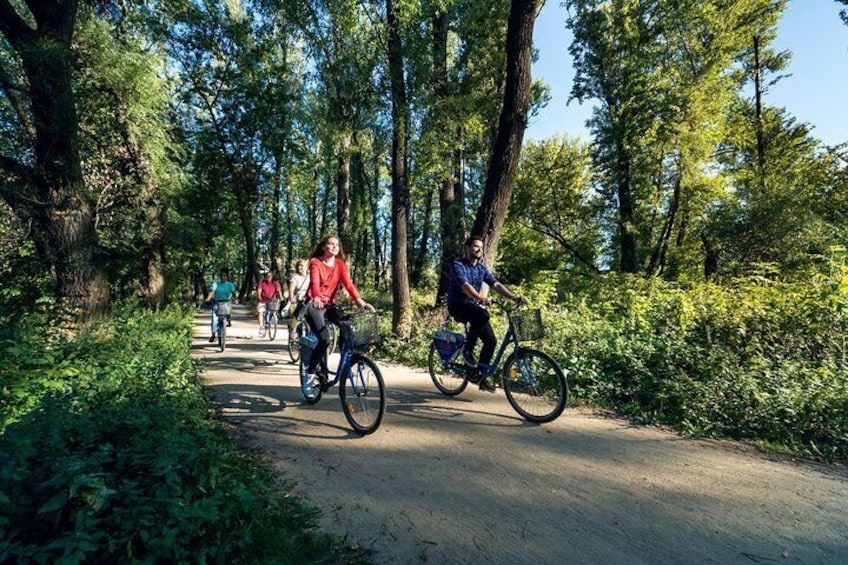 Vistula River side