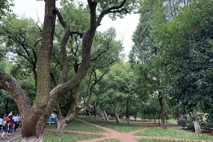 Changsha Highlight Private Day Tour