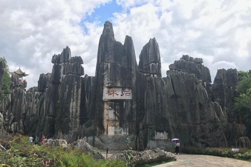 Private Day Tour to Stone Forest and Bamboo Temple from Kunming