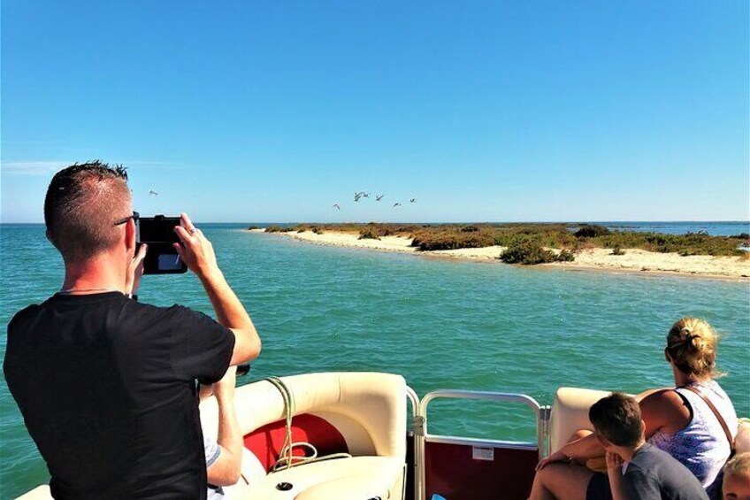 Ria Formosa Natural Park and Islands Boat Cruise from Faro