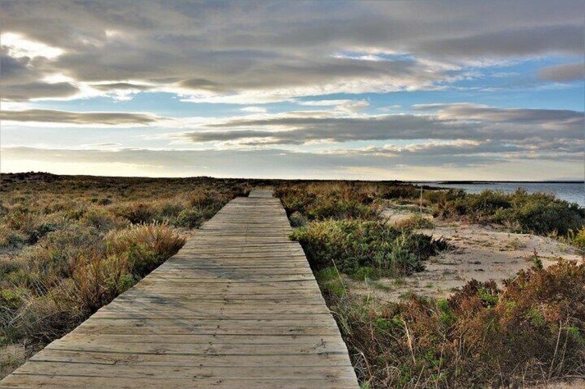 Deserta island hiking trail