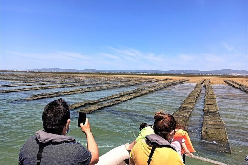 Oyster Farms Culatra