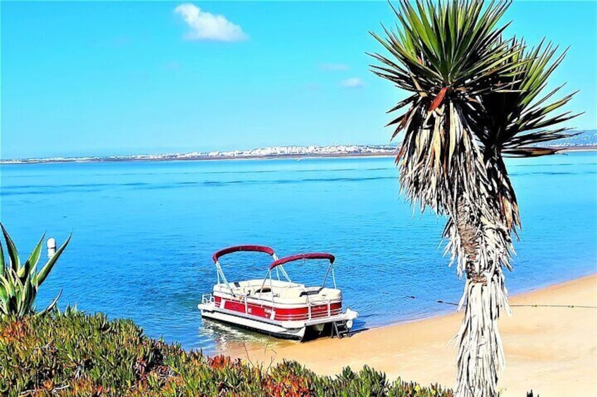 Ria Formosa Natural Park and Islands Boat Cruise from Faro