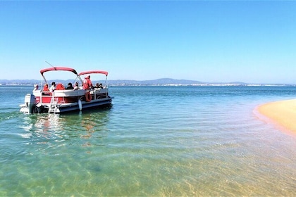 Croisière en bateau dans les îles Faro au parc naturel de Ria Formosa au dé...