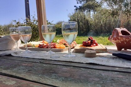 Taste of Sintra’s Wonders – Wine & Tapas Tasting Private Tour