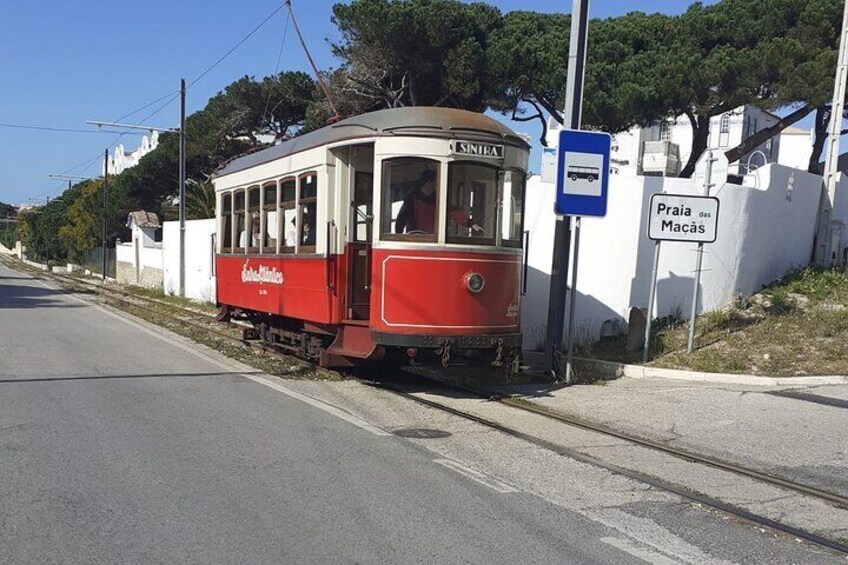 Taste of Sintra’s Wonders – Wine & Tapas Tasting Tour