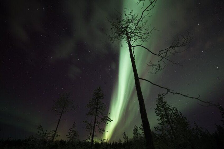 Autumn Aurora Borealis Picnic in Rovaniemi 