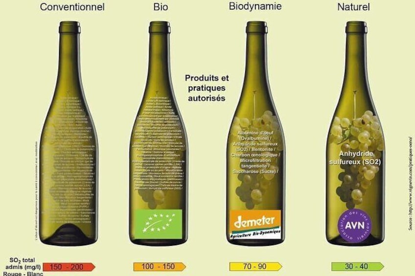 Difference between Natural and Conventional Wines 