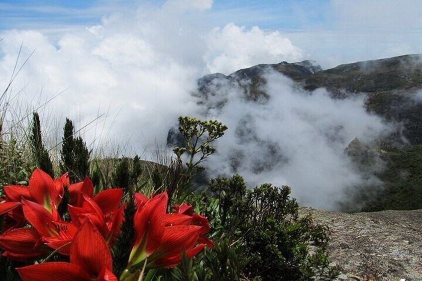 Serra dos Orgaos National Park – Teresópolis and Guapimirim