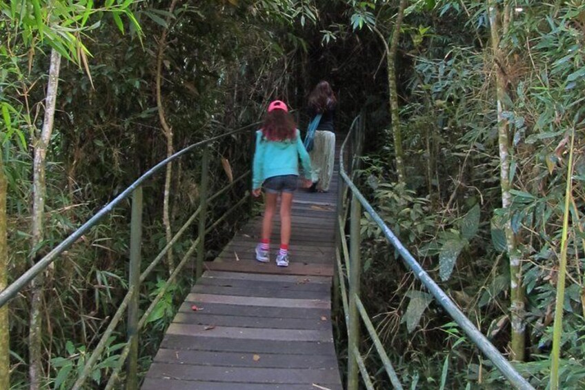 Serra dos Orgaos National Park – Teresópolis and Guapimirim