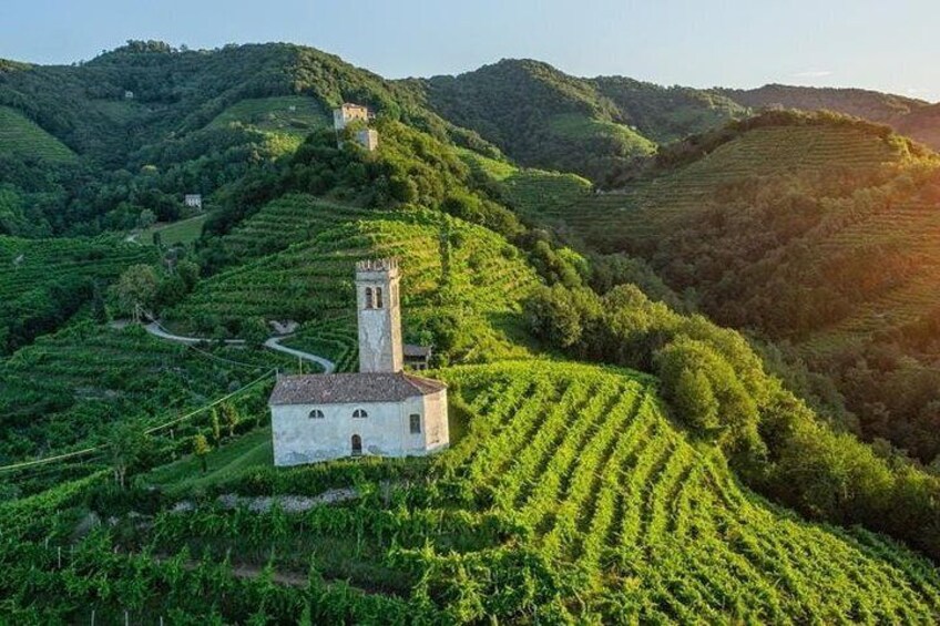 Prosecco Wine Tour. Full day from Venice