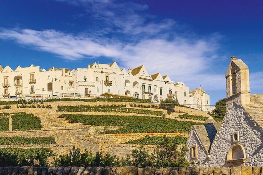 Valley D'itria full day tour Cisternino Alberobello and Polignano a Mare