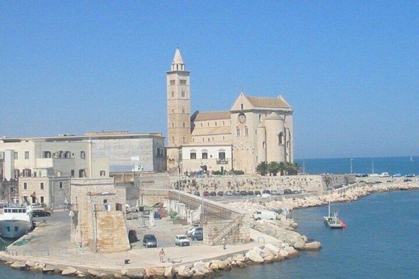 Trani, Wine Tasting, and Castel Del Monte tour from Bari or Ostuni