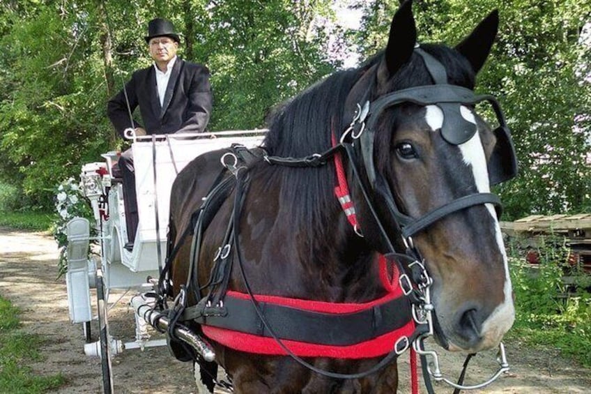 Show item 4 of 4. Mississippi Grand Carriage Ride (60 minutes)