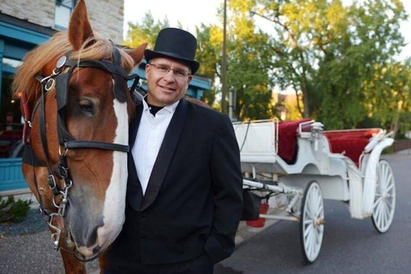 Show item 1 of 4. Mississippi Grand Carriage Ride (60 minutes)
