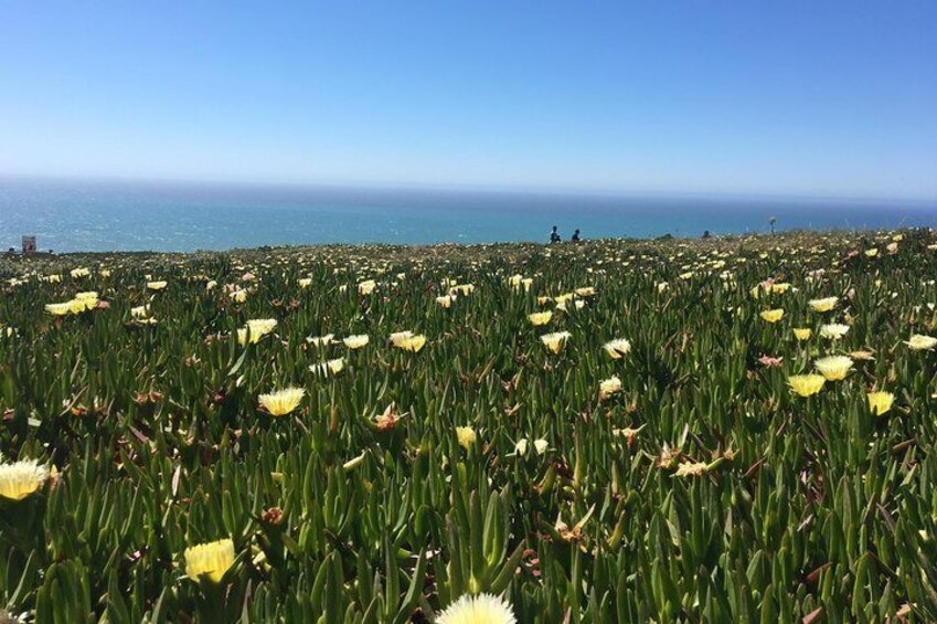 Westernmost Point of Mainland Europe - Cabo da Roca