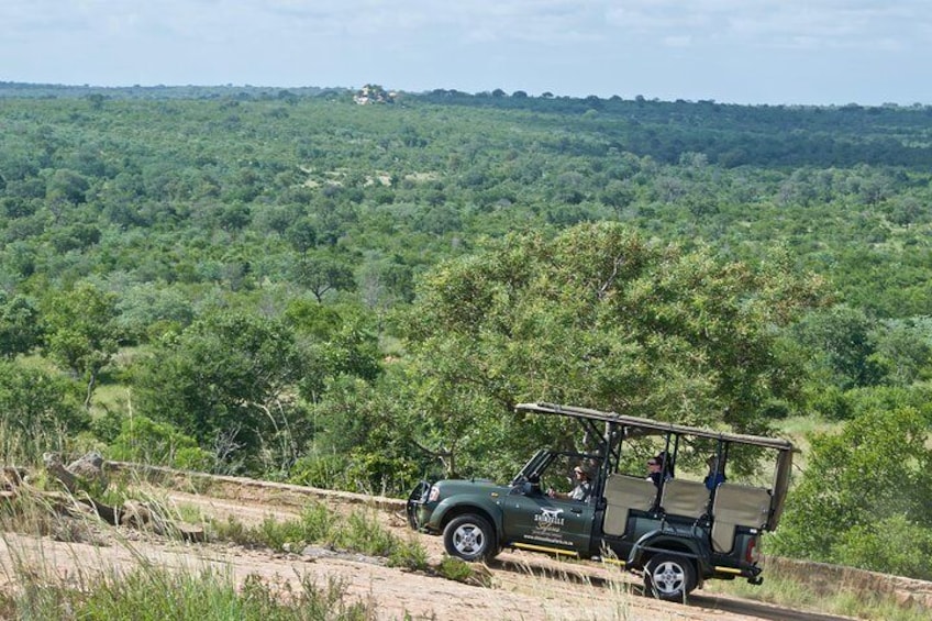 Kruger Park Safari experience by Shinzelle Safaris