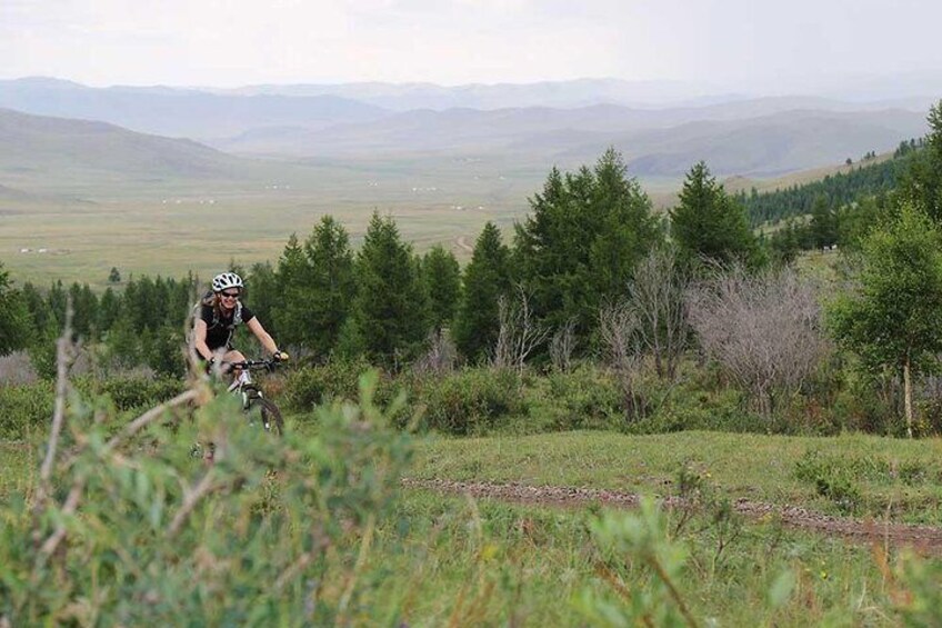 Uphill Pedaling