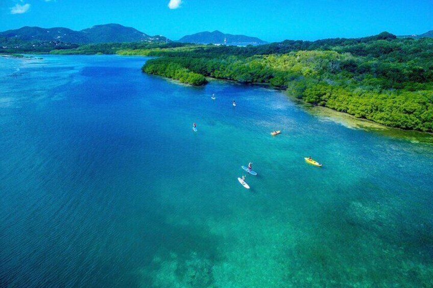 Magic Mangrove Paddle in Beef Island Lagoon