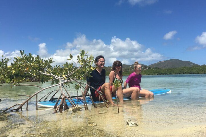 Magic Mangrove Paddle in Beef Island Lagoon