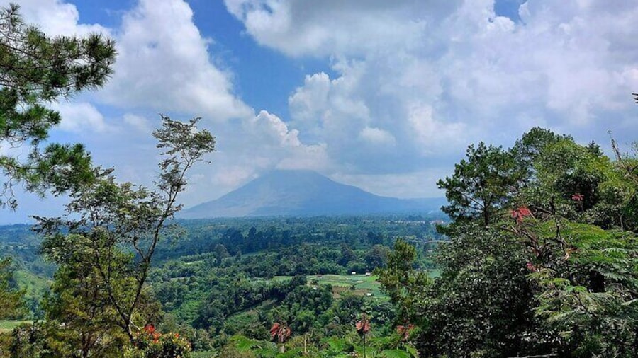 Private Tour: Karo Highlands and Lake Toba from Medan
